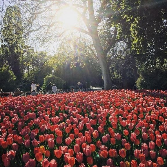 Türkenschanzpark