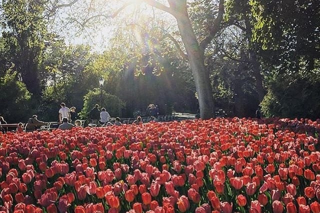 Türkenschanzpark