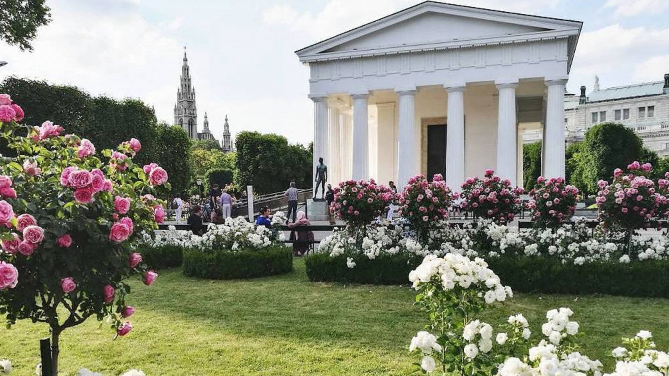 (c) Lisa Oberndorfer | 1000things Volksgarten während Rosenblüte