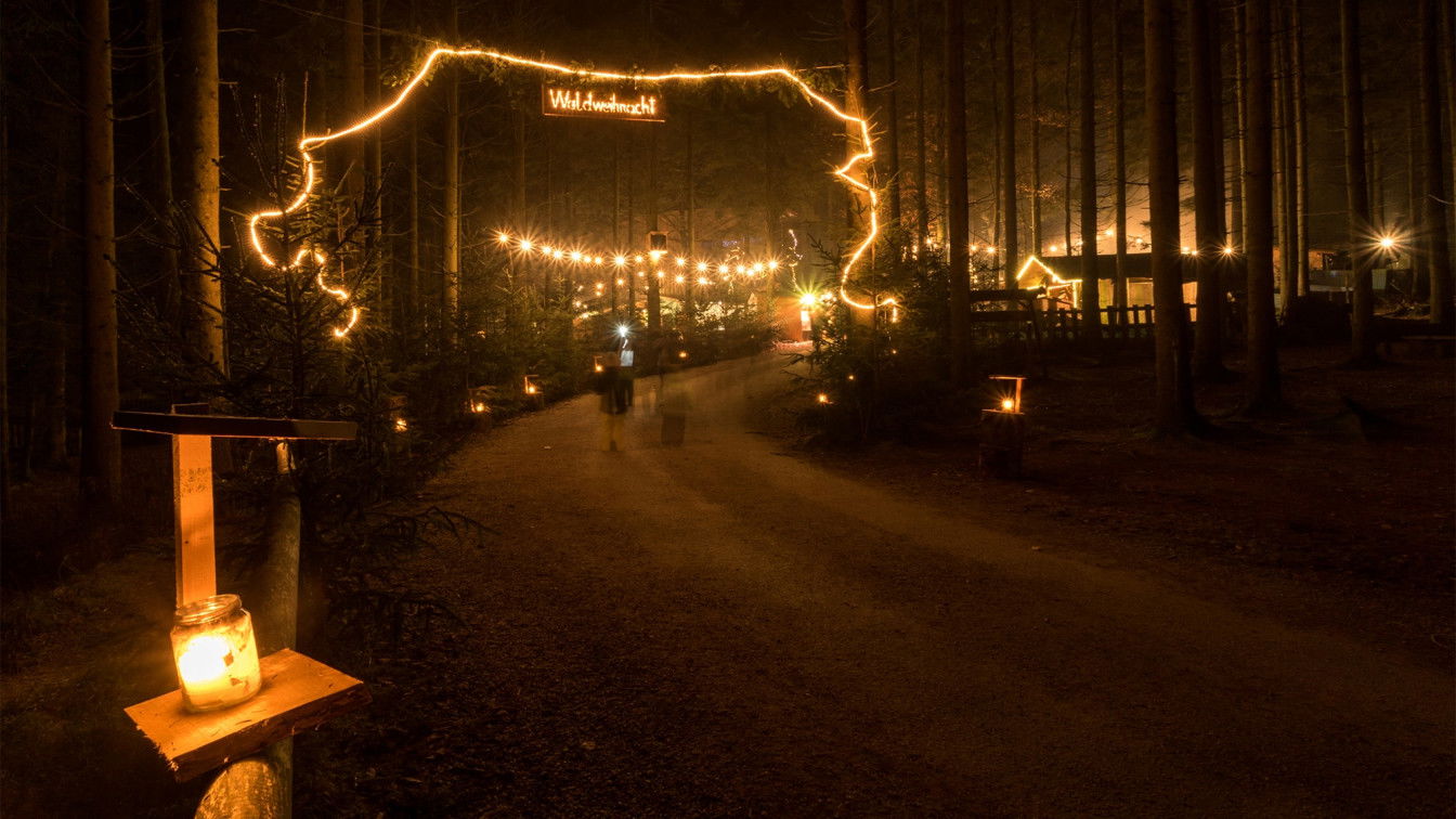 (c) Baumkronenweg Kopfing Waldweihnacht
