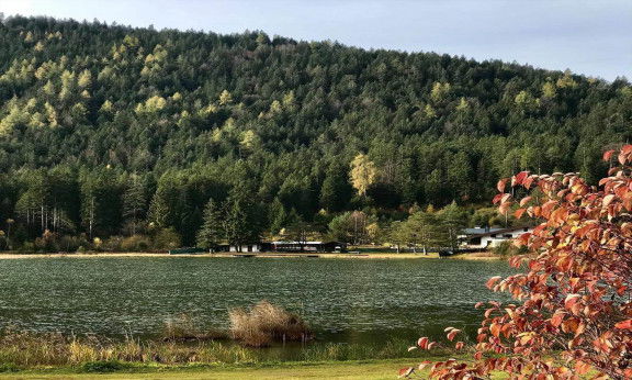 Wildsee seefeld
