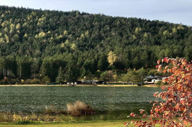 Wildsee seefeld
