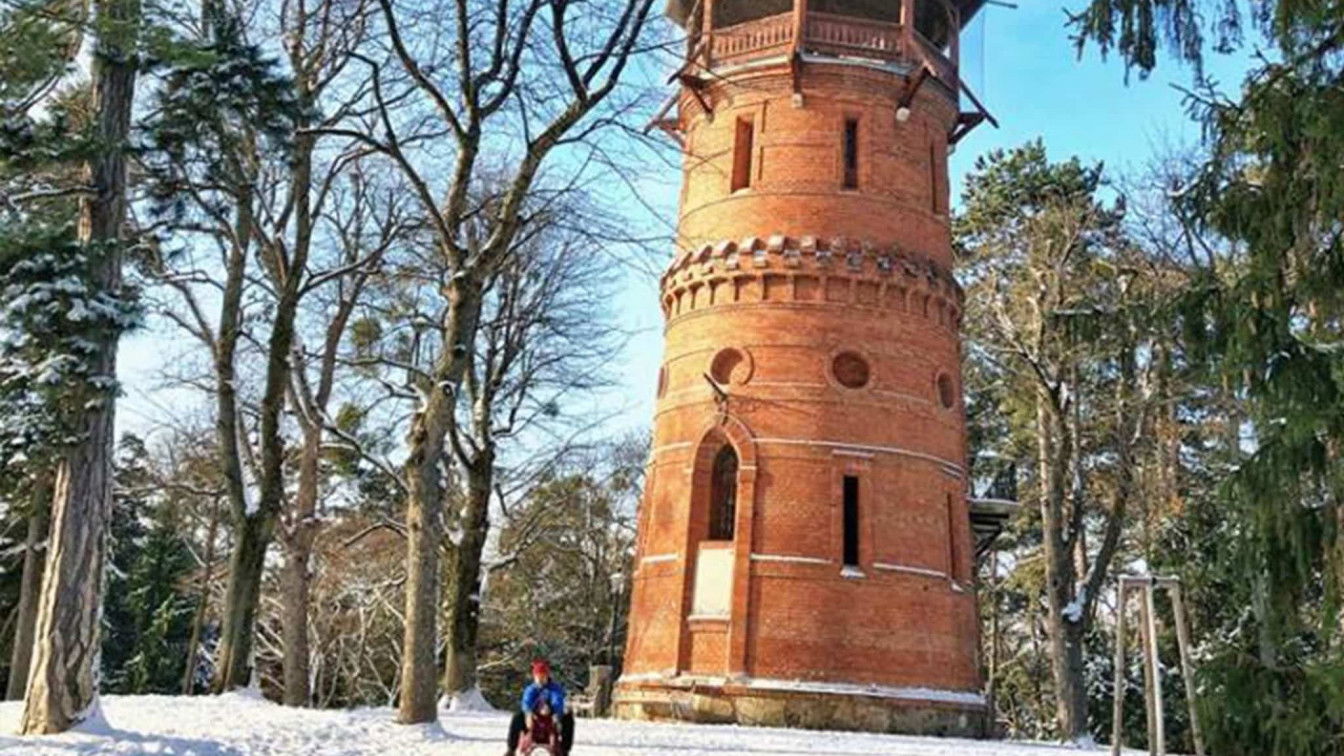 (c) Marie Amenitsch | 1000things Türkenschanzpark Wien Winter