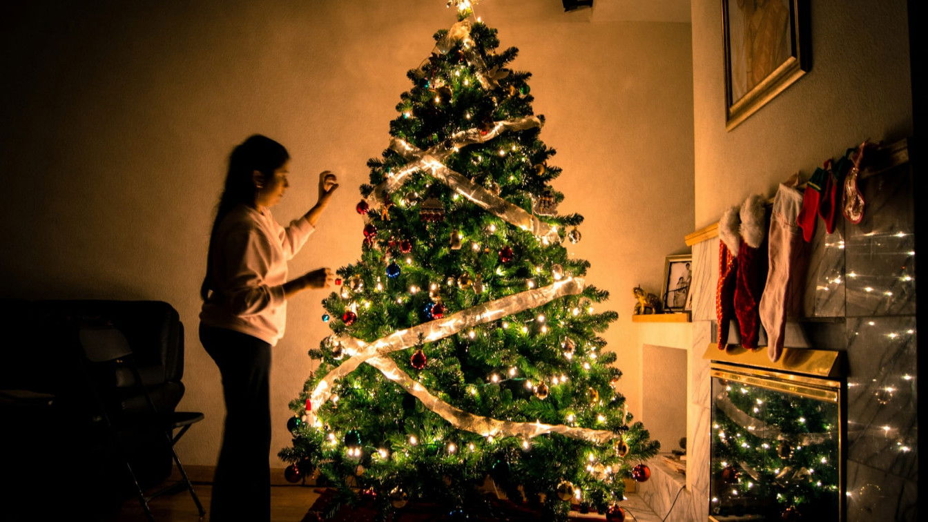 (c) Photo by Arun Kuchibhotla on Unsplash Programmpunkte Weihnachten