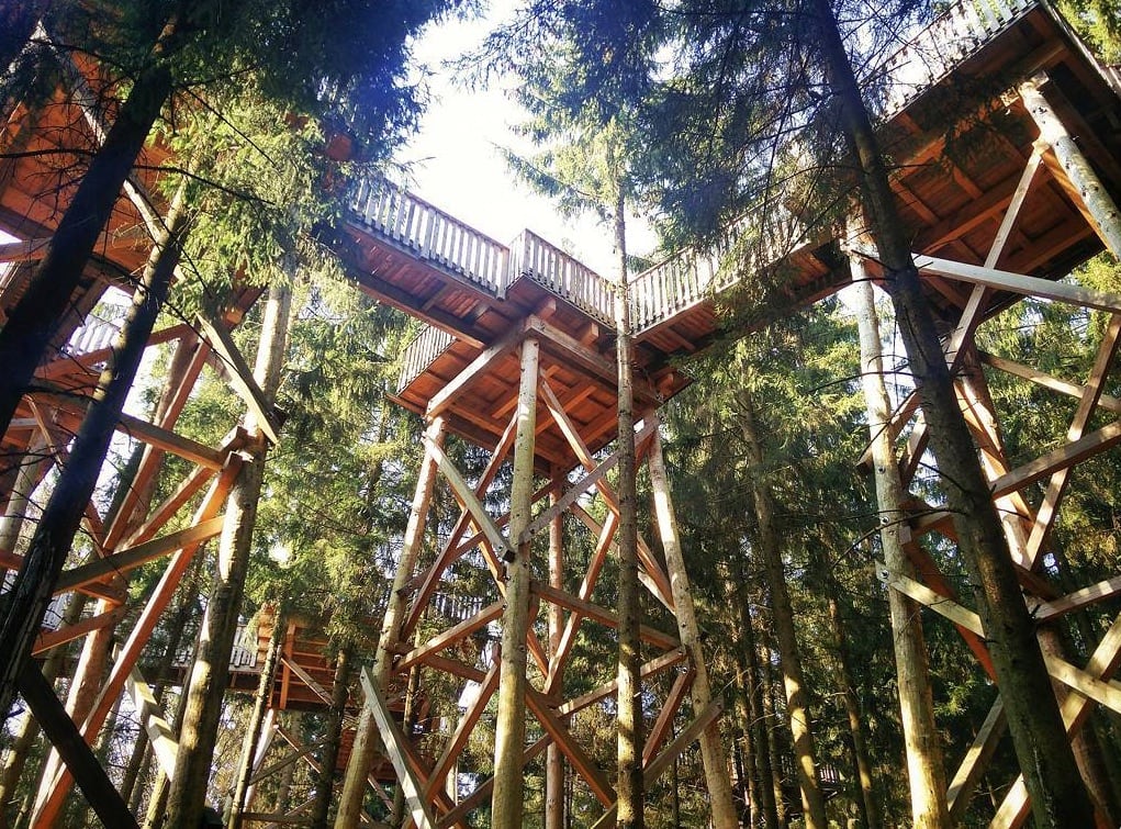 Baumkronenweg
