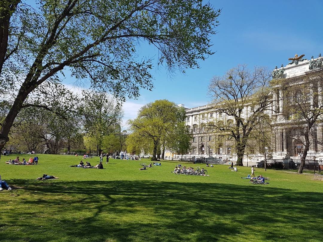 Ideen für Picknick-Orte: Liegewiese vom Burggarten in Wien, 1010