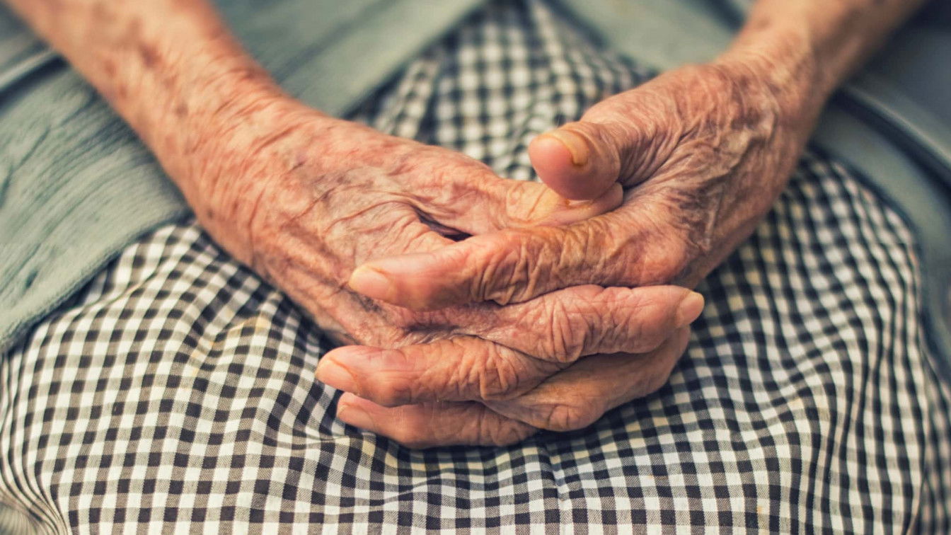 Photo by Cristian Newman on Unsplash Faceapp