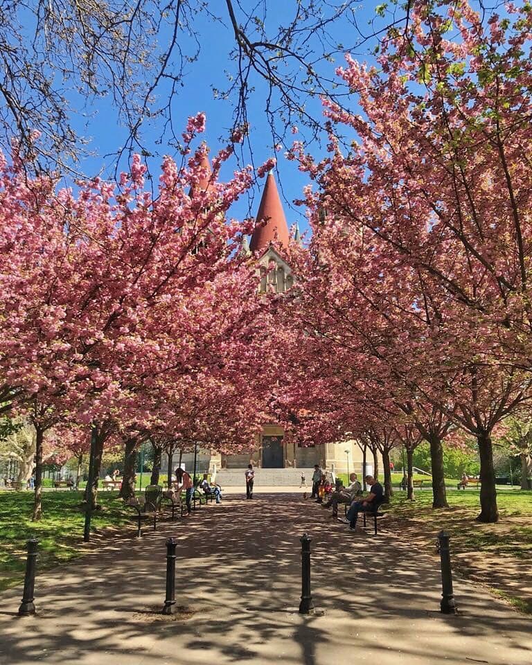 fruehling in wien