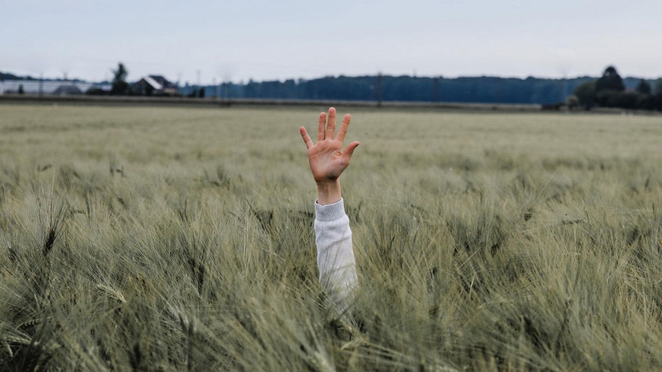Photo by Jonny Caspari on Unsplash Begrüßen
