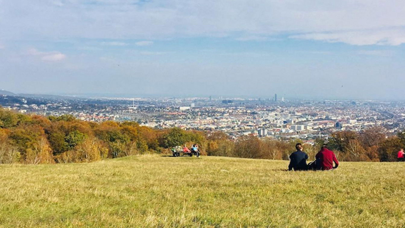(c) Marie Amenitsch | 1000things lainzer tiergarten