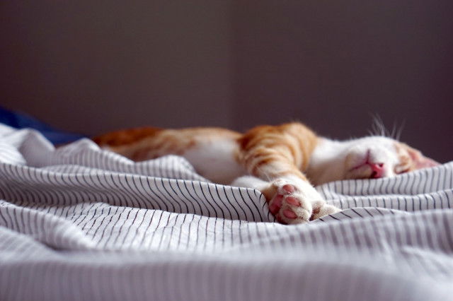 Beitragsbild