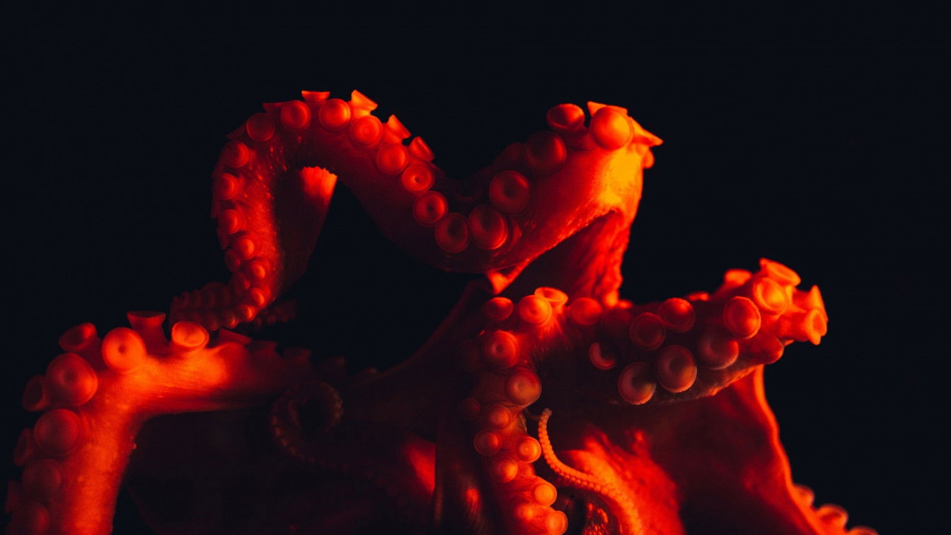 Photo by Masaaki Komori on Unsplash