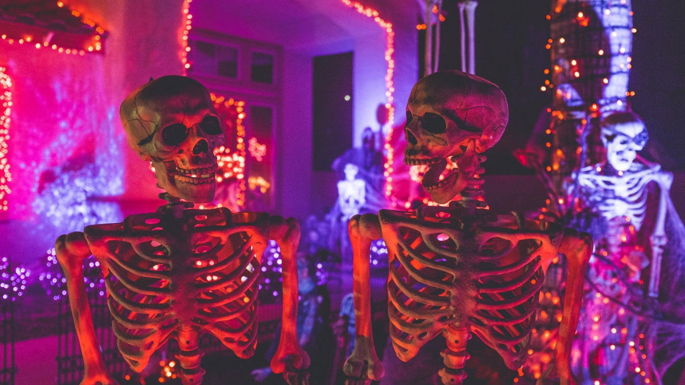 NeONBRAND | Unsplash Außergewöhnliche Horrorfilme