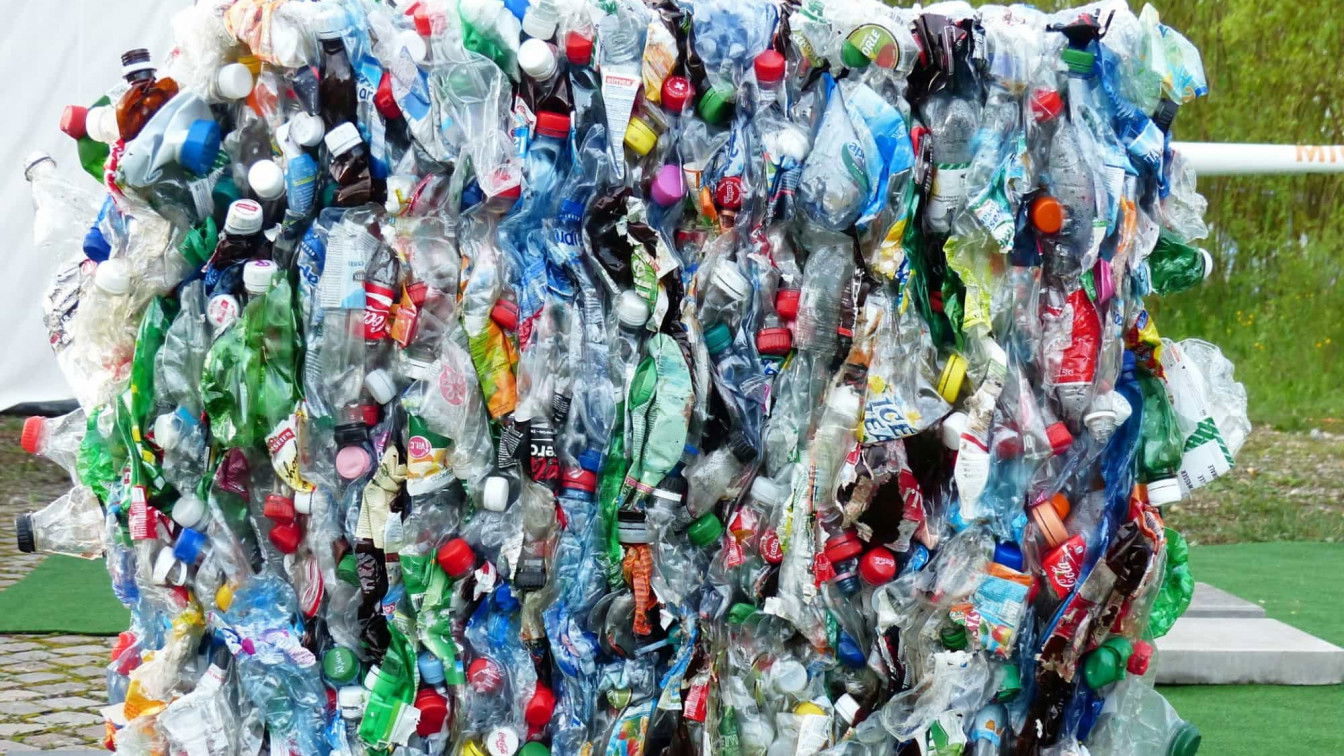 via Pixabay Plastikfrei St. Valentin