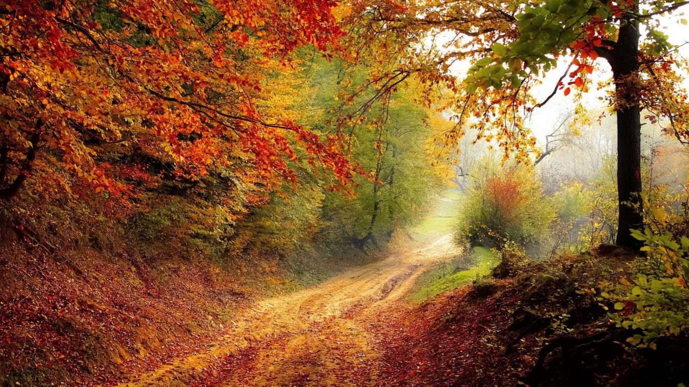 via Pixabay Herbststimmung Österreich