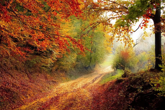 Herbststimmung Österreich