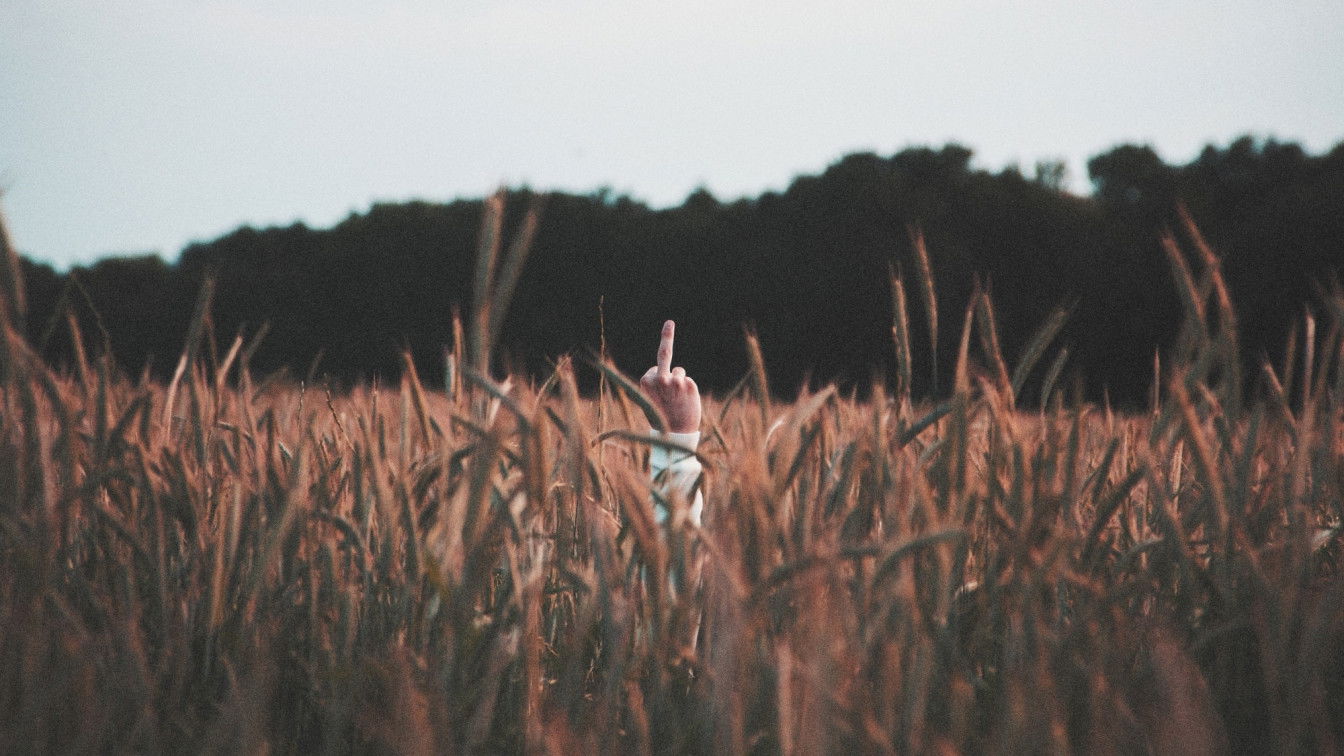 (c) W A T A R I / Unsplash Mittelfinger