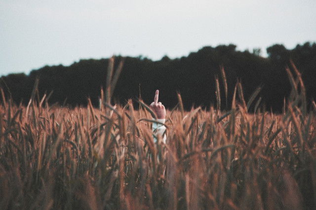 Mittelfinger