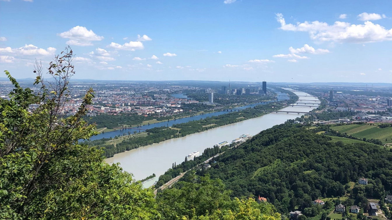 (c) Marie Amenitsch | 1000things wochenende in wien